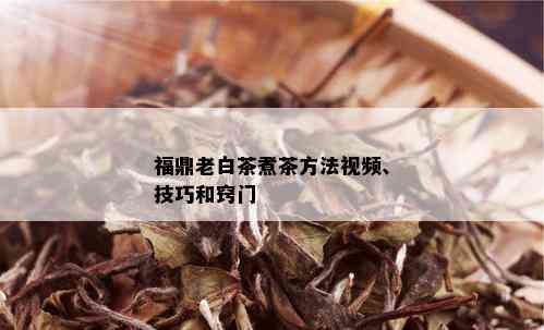 福鼎老白茶煮茶方法视频、技巧和窍门