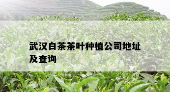 武汉白茶茶叶种植公司地址及查询