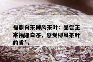 福鼎白茶柳风茶叶：品尝正宗福鼎白茶，感受柳风茶叶的香气