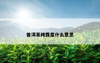 普洱茶纯露是什么意思