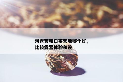 河露营和白茶营地哪个好，比较露营体验和设