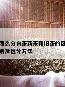 怎么分白茶新茶和旧茶的区别及区分方法