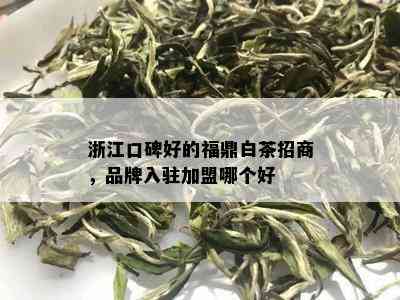 浙江口碑好的福鼎白茶招商，品牌入驻加盟哪个好