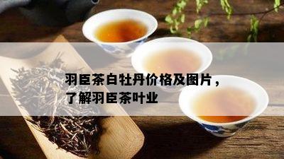 羽臣茶白牡丹价格及图片，了解羽臣茶叶业