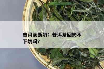 普洱茶断奶：普洱茶回奶不下奶吗？