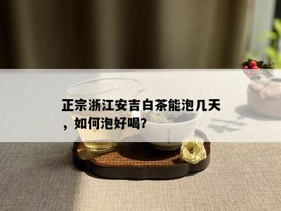 正宗浙江安吉白茶能泡几天，如何泡好喝？