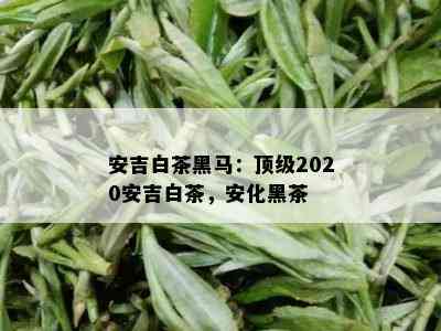 安吉白茶黑马：顶级2020安吉白茶，安化黑茶