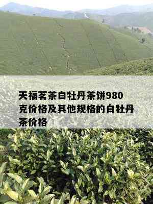 天福茗茶白牡丹茶饼980克价格及其他规格的白牡丹茶价格