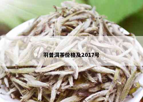 羽普洱茶价格及2017号