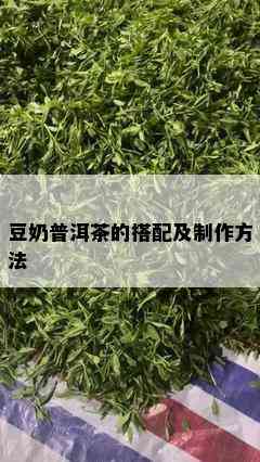 豆奶普洱茶的搭配及制作方法