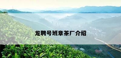 龙聘号班章茶厂介绍