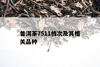 普洱茶7511档次及其相关品种