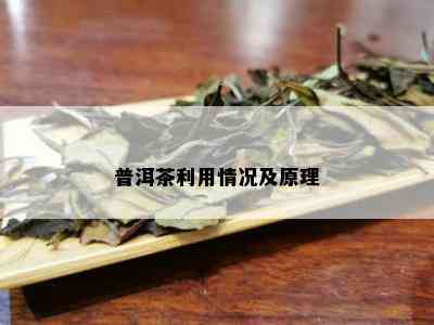 普洱茶利用情况及原理