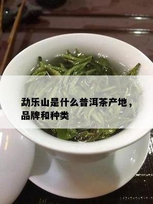 勐乐山是什么普洱茶产地，品牌和种类