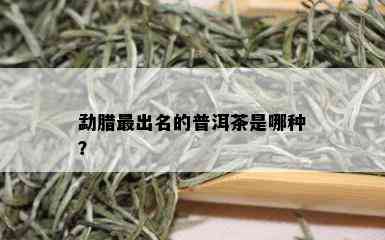 勐腊最出名的普洱茶是哪种？