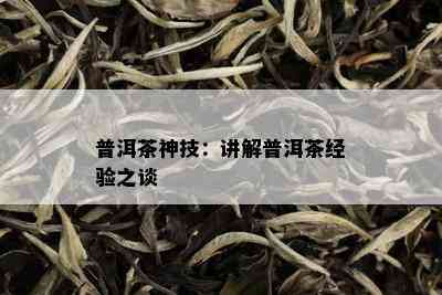 普洱茶神技：讲解普洱茶经验之谈