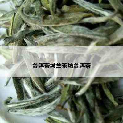 普洱茶城兰茶坊普洱茶