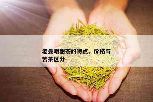 老曼峨甜茶的特点、价格与苦茶区分