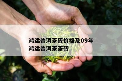 鸿运普洱茶砖价格及09年鸿运普洱茶茶砖