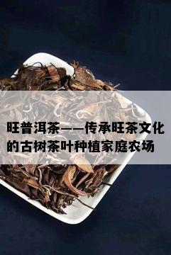 旺普洱茶——传承旺茶文化的古树茶叶种植家庭农场