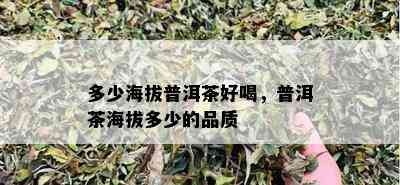 多少海拔普洱茶好喝，普洱茶海拔多少的品质