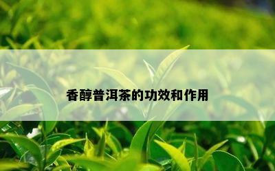 香醇普洱茶的功效和作用