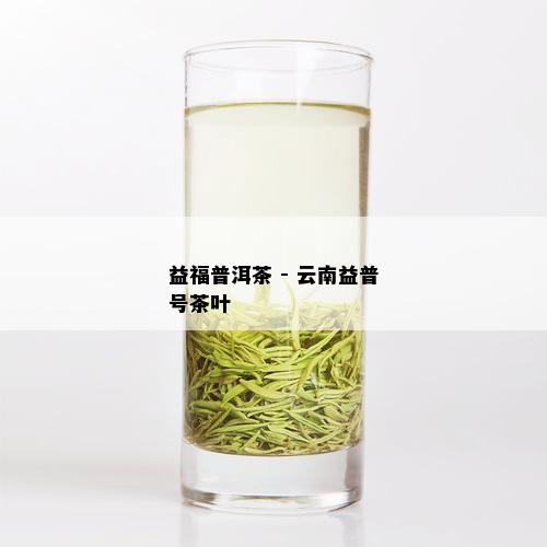 益福普洱茶 - 云南益普号茶叶