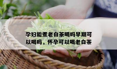 孕妇能煮老白茶喝吗早期可以喝吗，怀孕可以喝老白茶