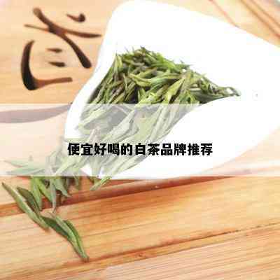 便宜好喝的白茶品牌推荐