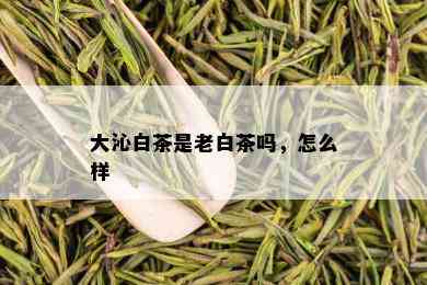 大沁白茶是老白茶吗，怎么样