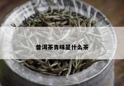 普洱茶青味是什么茶