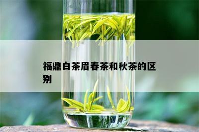 福鼎白茶眉春茶和秋茶的区别