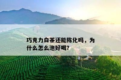 巧克力白茶还能陈化吗，为什么怎么泡好喝？