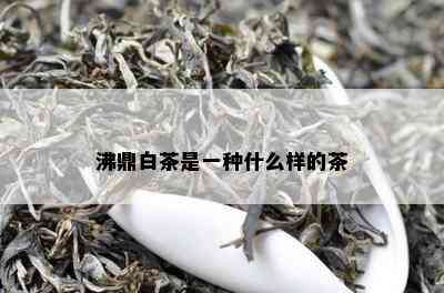 沸鼎白茶是一种什么样的茶