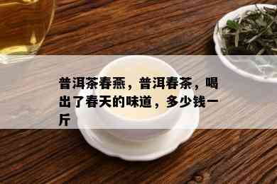 普洱茶春燕，普洱春茶，喝出了春天的味道，多少钱一斤