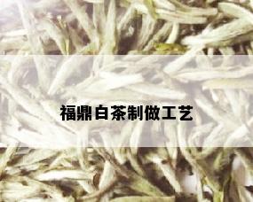 福鼎白茶制做工艺