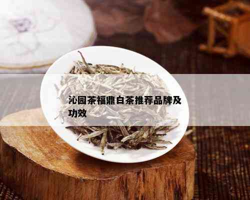 沁园茶福鼎白茶推荐品牌及功效