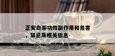 正安白茶功效副作用和危害，禁忌及相关信息