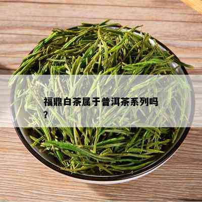 福鼎白茶属于普洱茶系列吗？