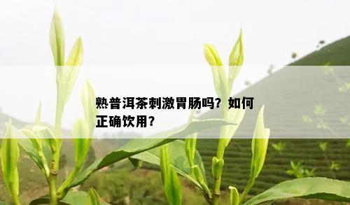 熟普洱茶 *** 胃肠吗？如何正确饮用？