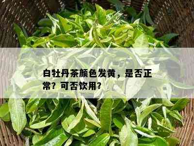 白牡丹茶颜色发黄，是否正常？可否饮用？