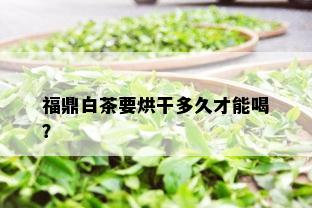 福鼎白茶要烘干多久才能喝？