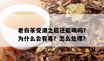 老白茶受潮之后还能喝吗？为什么会有？怎么处理？