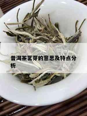 普洱茶茗芽的意思及特点分析