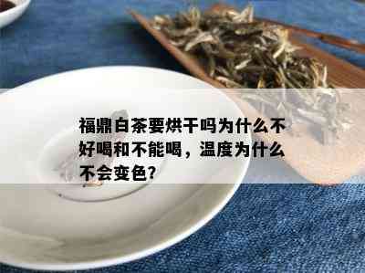 福鼎白茶要烘干吗为什么不好喝和不能喝，温度为什么不会变色？