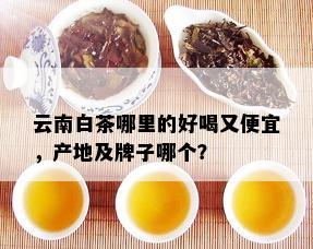 云南白茶哪里的好喝又便宜，产地及牌子哪个？