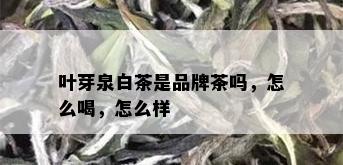 叶芽泉白茶是品牌茶吗，怎么喝，怎么样