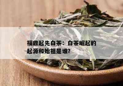 福鼎起先白茶：白茶崛起的起源和始祖是谁？