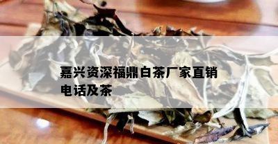 嘉兴资深福鼎白茶厂家直销电话及茶