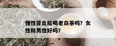 慢性肾炎能喝老白茶吗？女性和男性好吗？